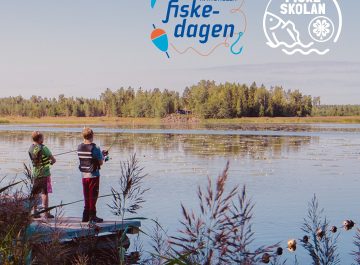 Nationella fiskedagen inspirerar barn till fiske featured image