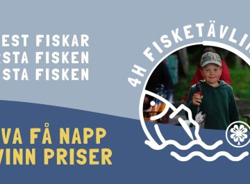 Pröva få napp – vinn priser i 4H Fisketävlingen featured image